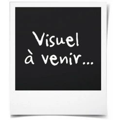 BOSCH Marteau Perforateur Sans Fil SDS Max GBH 18V-36 C Avec Deux Batteries ProCORE 5,5Ah + Chargeur GAL 1880 CV Coffret Standard BOSC -Perceuse Soldes 2022 60044075 5